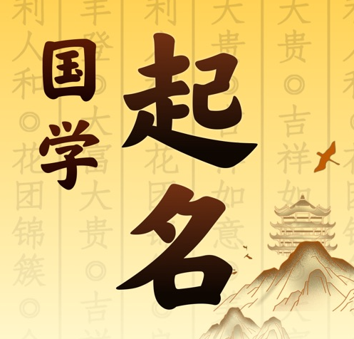 龙岩市国学起名 人工起名一对一